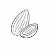 Almond fragrance note icon
