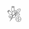 Herbal skin balance icon