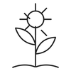 Arnica calming care detailed icon