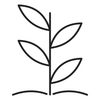Corn-derived oil control line icon