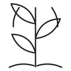 Green superfood complex line icon
