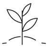 Aloe hydration icon