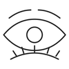 lash brow duo detailed icon