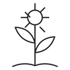 Quandong antioxidant boost line icon
