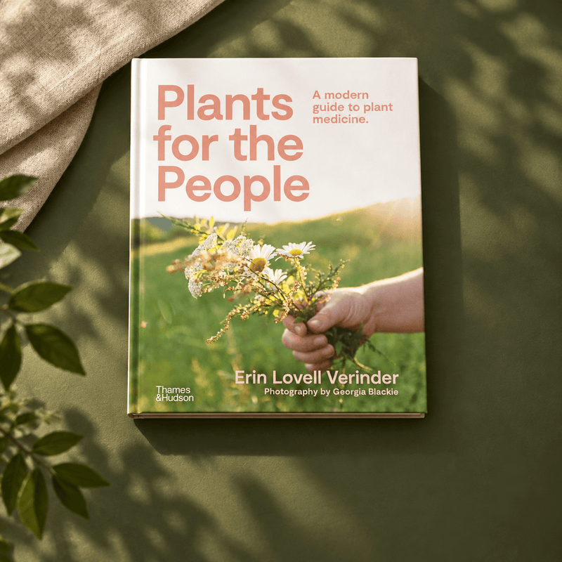 Plants For The People — full-colour olive setting