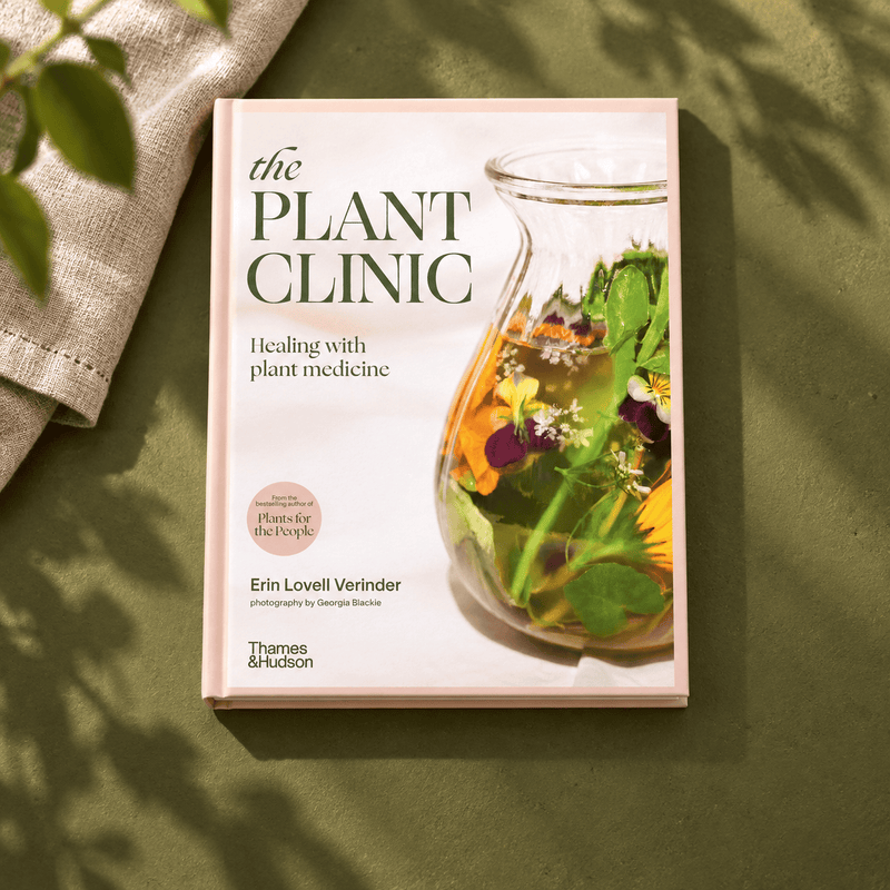 The Plant Clinic — full-colour olive setting