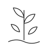 Line icon representing moringa lash care