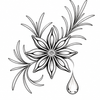 Star anise and rosemary serum line icon