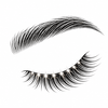 Fuller brows and lashes line icon