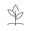 Candelilla lasting glide line icon