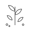 Detailed fine line icon representing Moringa and botanical skincare ingredients