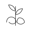 Seven botanical seed oils icon