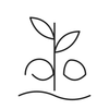 Sacred botanical oils skin comfort line art icon