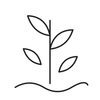 Seaweed and moringa brow care line icon
