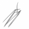 Precision angled tweezer grip icon