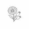 Calendula and rosehip icon