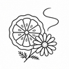Bergamot and chamomile aromatic refresh line icon