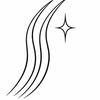 Silky shine line icon
