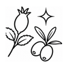 Antioxidant botanical oils icon