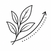 White tea elasticity icon