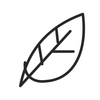 leaf line icon