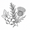 Antioxidant botanicals icon