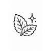 Cooling botanical refresh icon