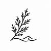 Calming cedarwood care icon