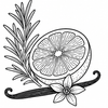Orange rosemary and vanilla botanical aroma icon