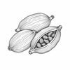 Cardamom fragrance note icon
