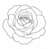 Rose fragrance note icon