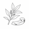 Sandalwood fragrance note icon