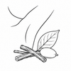 Liquorice and tamanu soothing skin icon