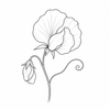 Sweet pea fragrance note icon