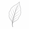 Violet leaf fragrance note icon