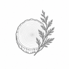 White cedar fragrance note icon
