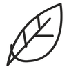 leaf line icon