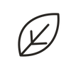 botanical line icon