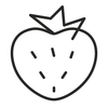 berry line illustration