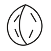 nut line illustration