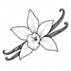Vanilla Lip Balm - Slow Down – vanilla pod and delicate vanilla flower benefit icon