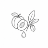 Apricot and jojoba icon