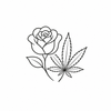 Rosewater and hemp icon
