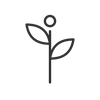 Sanctum cleanser botanicals icon
