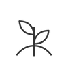 Sanctum scrub natural icon