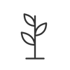 Sanctum spa seaweed icon