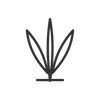 Sanctum wash aloe icon