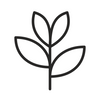 petal line illustration