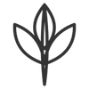 Shemana equinox lotus product benefit icon