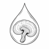 SuperFeast reishi extract benefit icon
